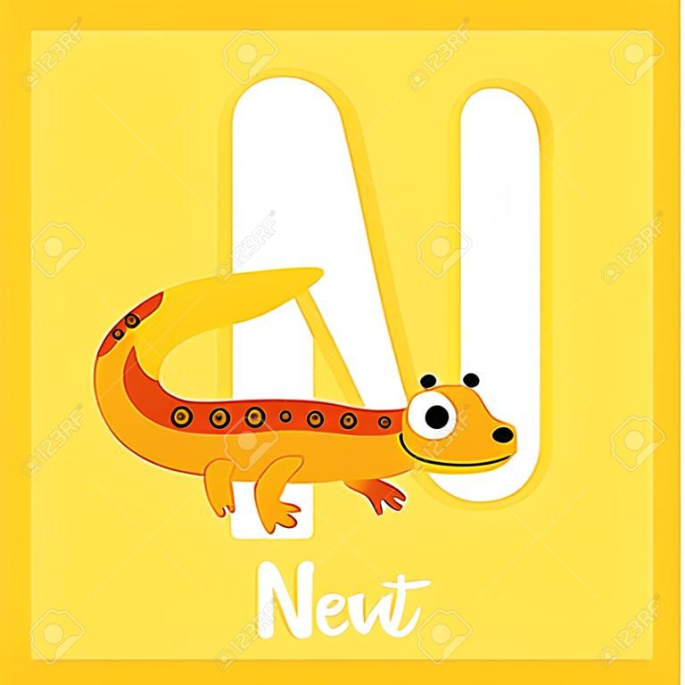 N letter vocabulary. Eastern Red-spotted New. Cute children ABC zoo alphabet flash card. Funny cartoon animal. Kids abc education. Learning English vocabulary. Vector illustration.
