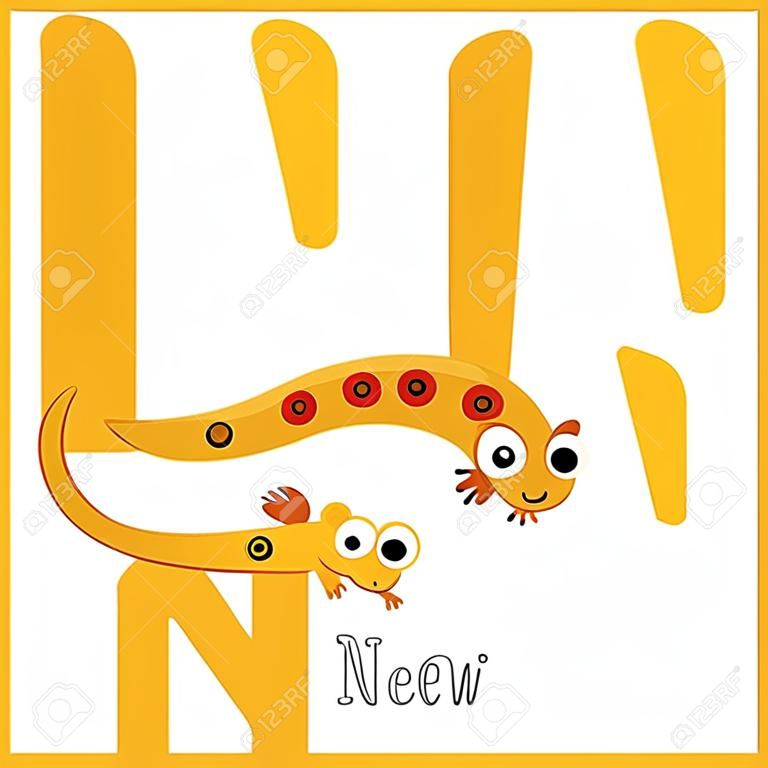 N letter vocabulary. Eastern Red-spotted New. Cute children ABC zoo alphabet flash card. Funny cartoon animal. Kids abc education. Learning English vocabulary. Vector illustration.