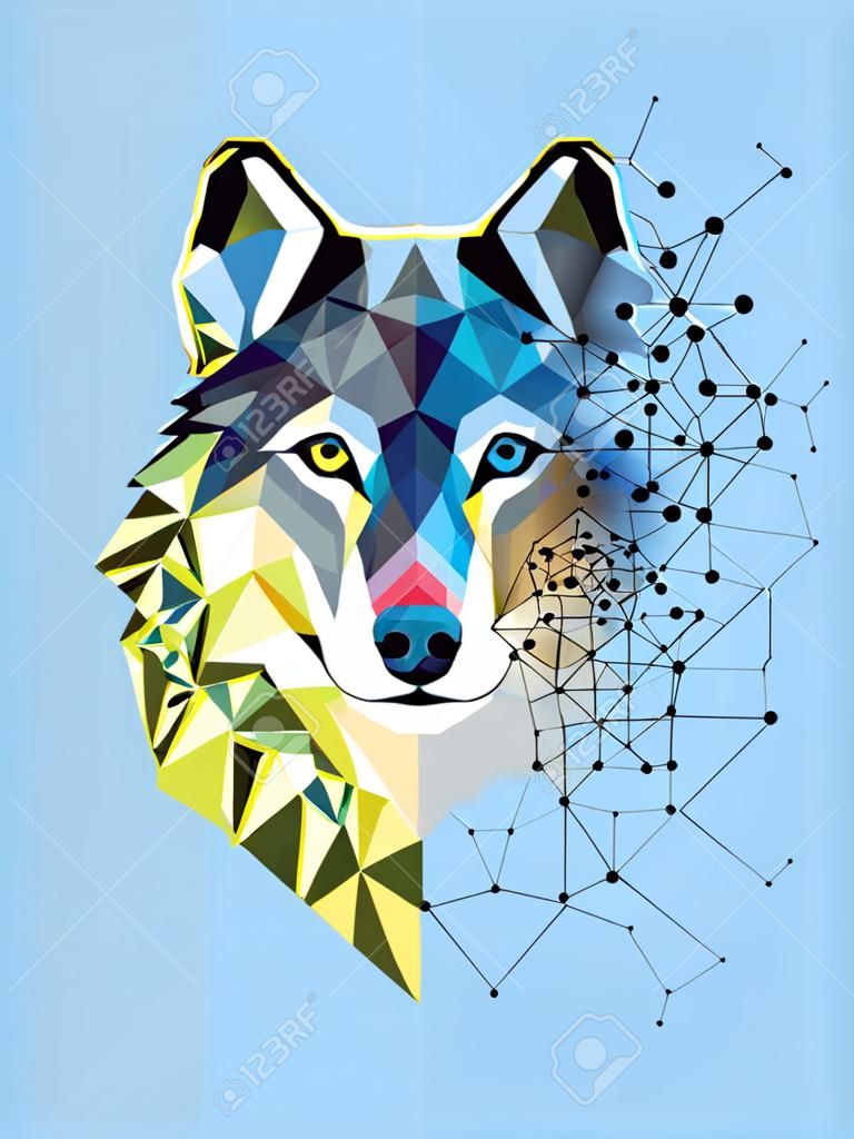 Wolf  head in geometric pattern with star line vector