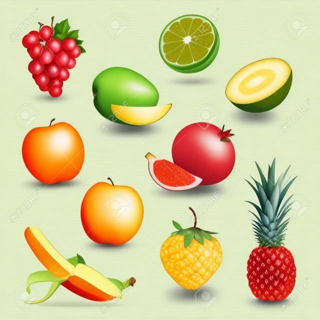 Früchte, von Illustrationen gesetzt