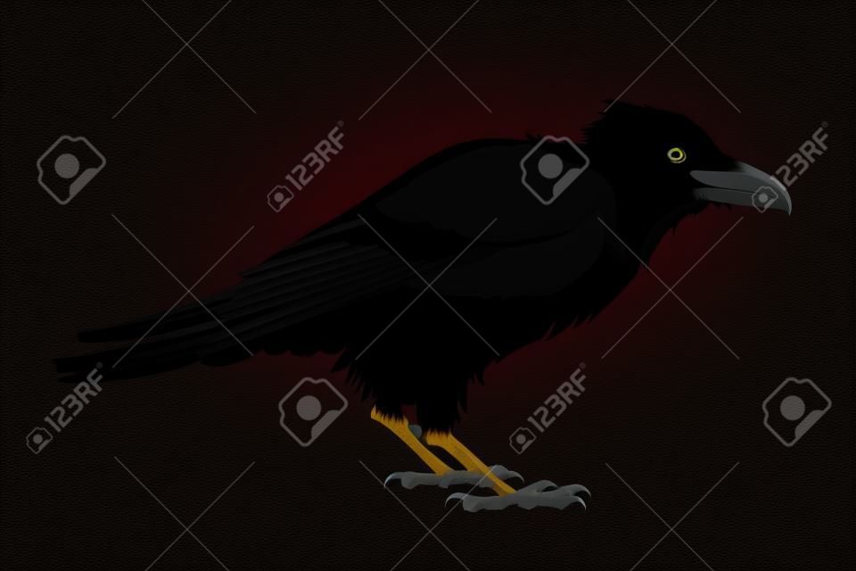 Corvo nero, il vettore silhouette