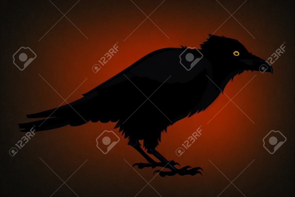 Black raven, vector silhouette
