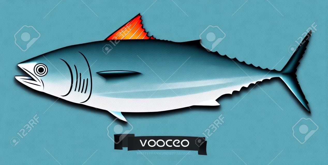 Tuna fish. 3d vector icon. Seafood, realism style