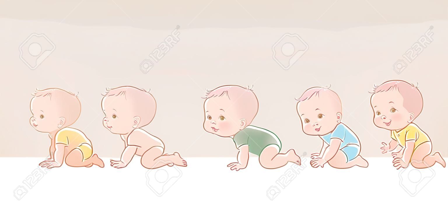 Skala des Babywachstums vom Neugeborenen bis zum Kleinkind. Meilensteine des ersten Jahres. Netter Junge von 12 Monaten. Vektorfarbabbildung.