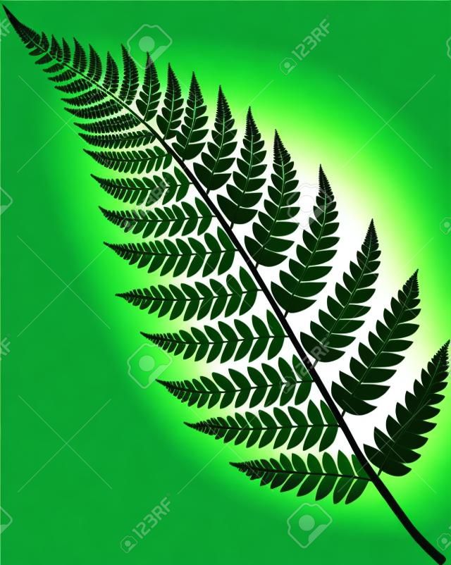 Fern frond green silhouette. Vector forest concept