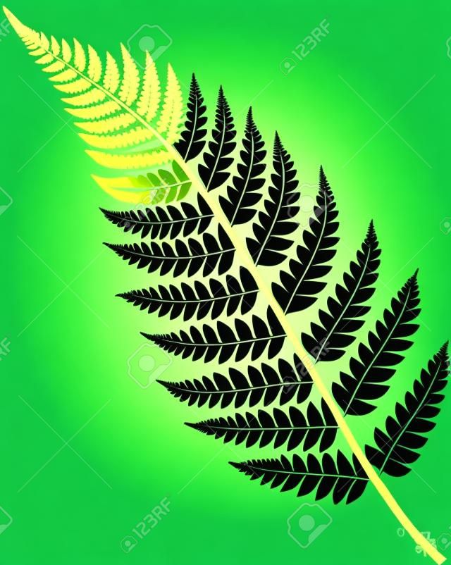 Fern frond green silhouette. Vector forest concept