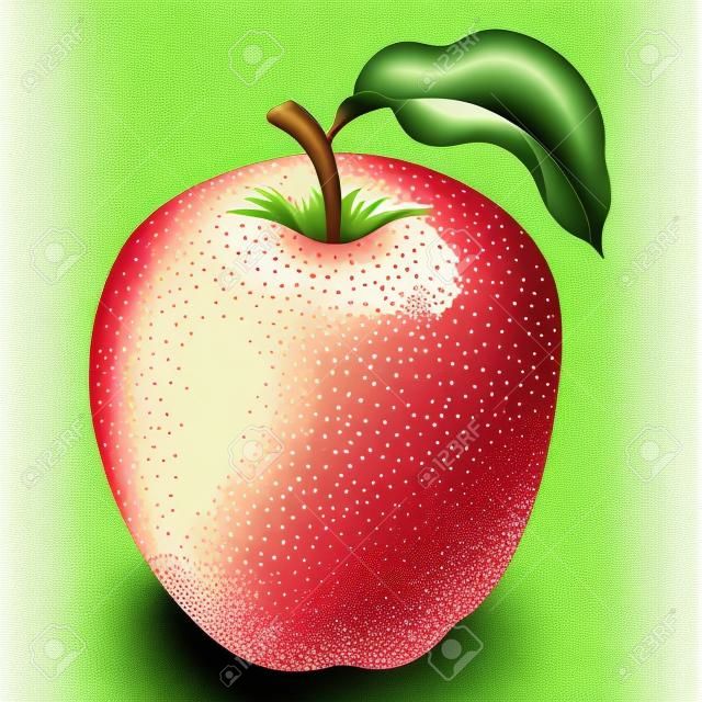 Ilustración grabada de un vector de manzana