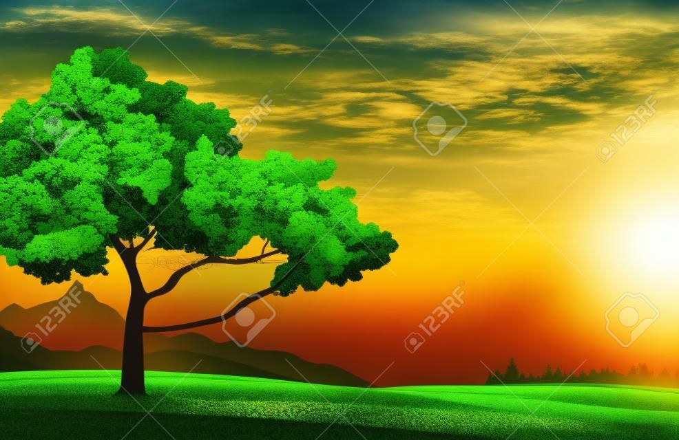 Été arbre vert et prairie sur un fond coucher de soleil, nuageux, ciel