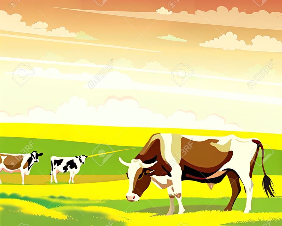Herd of cows in green field on a sunset sky. Vector rural summer landscape.