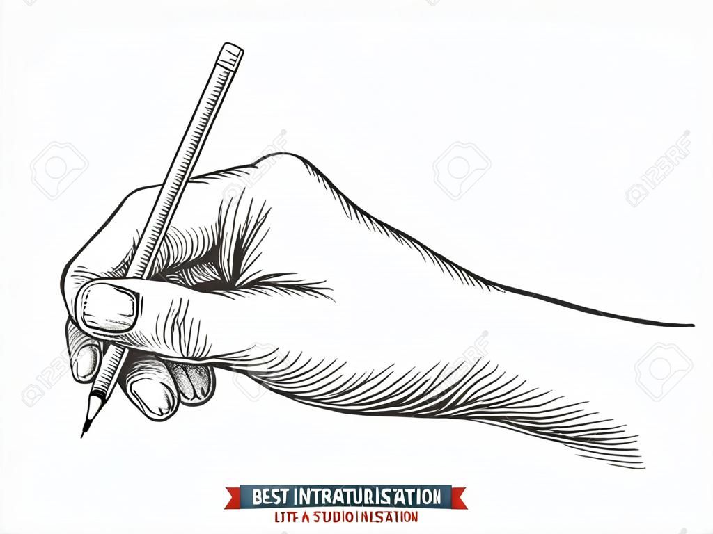 Main dessinée à la main tenant un crayon. Modèle pour vos travaux de conception. Illustration vectorielle de style gravé.