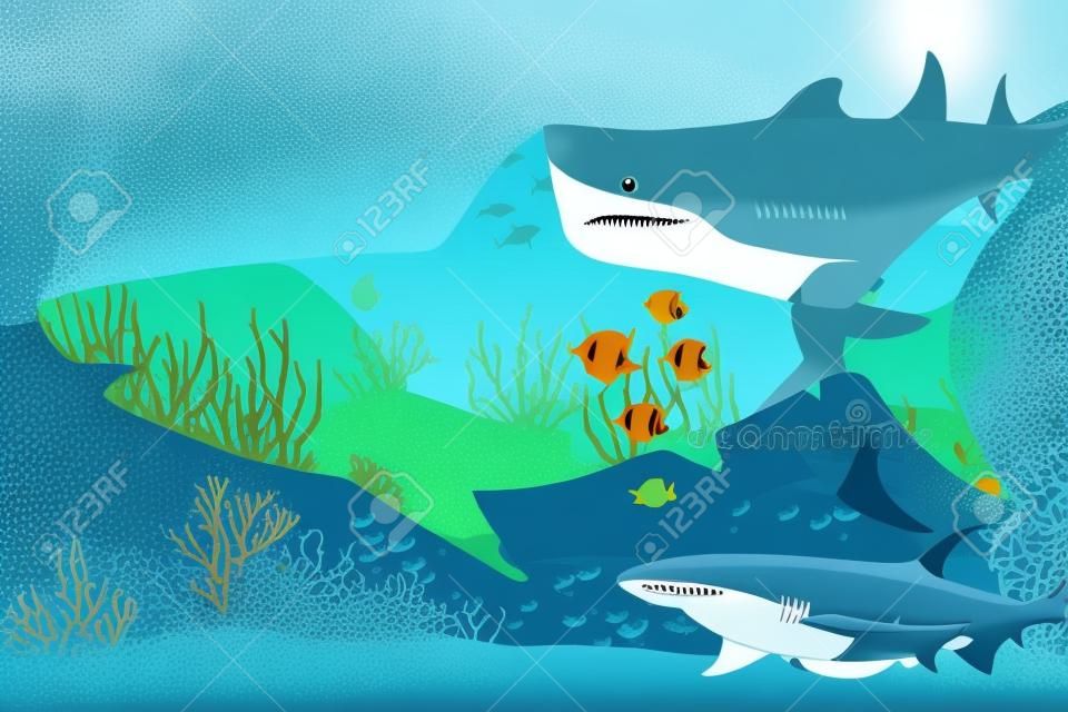 Vector illustration of sea life and coral on seabed background. Shark.