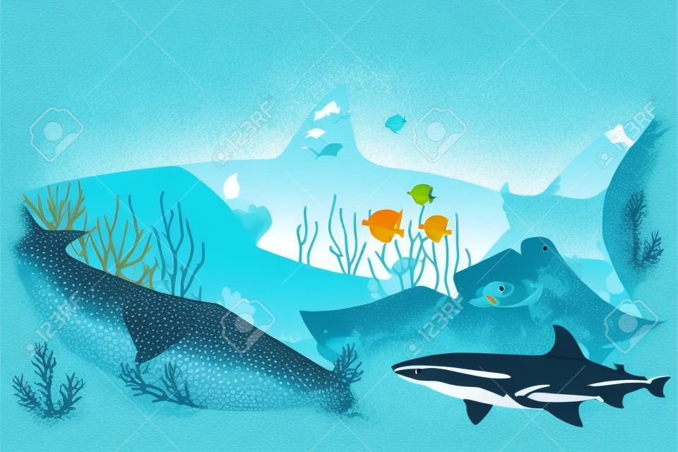 Illustration vectorielle de la vie marine et des coraux sur fond marin. Requin.