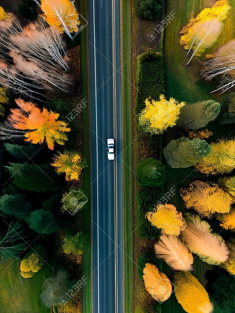 Straße in der farbigen Herbstwaldvogelperspektive