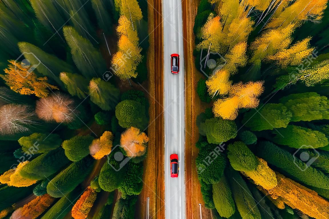 Luftaufnahme der Landstraße mit rotem Auto im gelben und orangefarbenen Herbstwald im ländlichen Finnland.