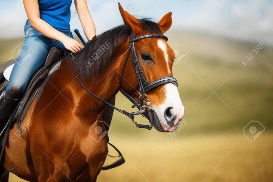 photo de jeune jolie fille équitation cheval