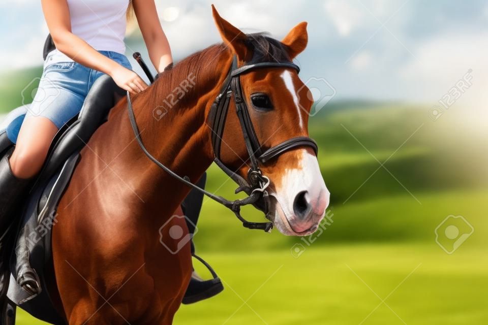 photo de jeune jolie fille équitation cheval