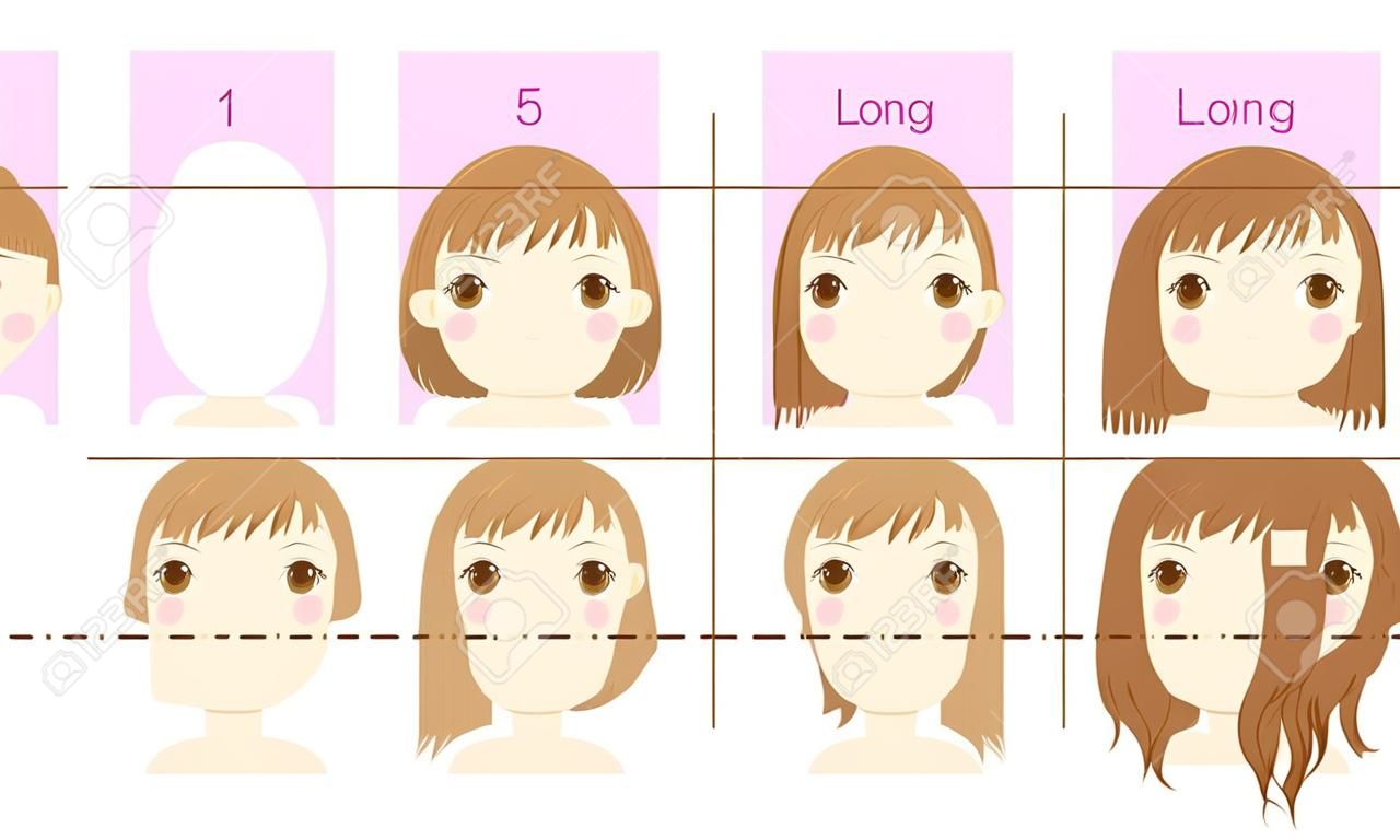 Set mit verschiedenen Haarlängen - kurz, mittel und lang, superlang.
