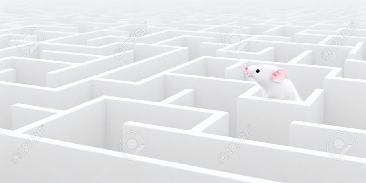Белая мышь в белом лабиринте, смотрящая на стены