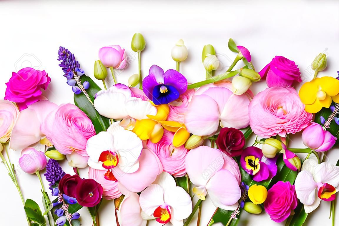 Composizione di fiori. Bordo fatto di rose, ranuncoli, viole del pensiero e fiori di orchidee su sfondo bianco. Scena piatta, vista dall'alto.