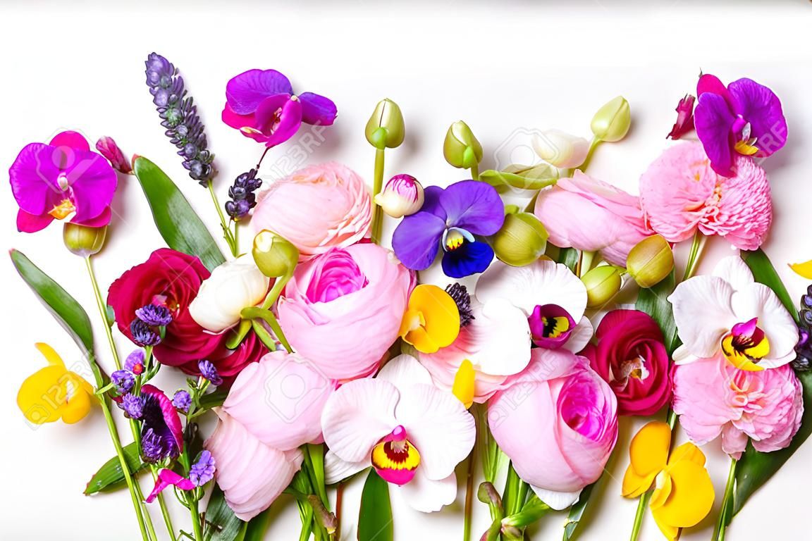 Composizione di fiori. Bordo fatto di rose, ranuncoli, viole del pensiero e fiori di orchidee su sfondo bianco. Scena piatta, vista dall'alto.