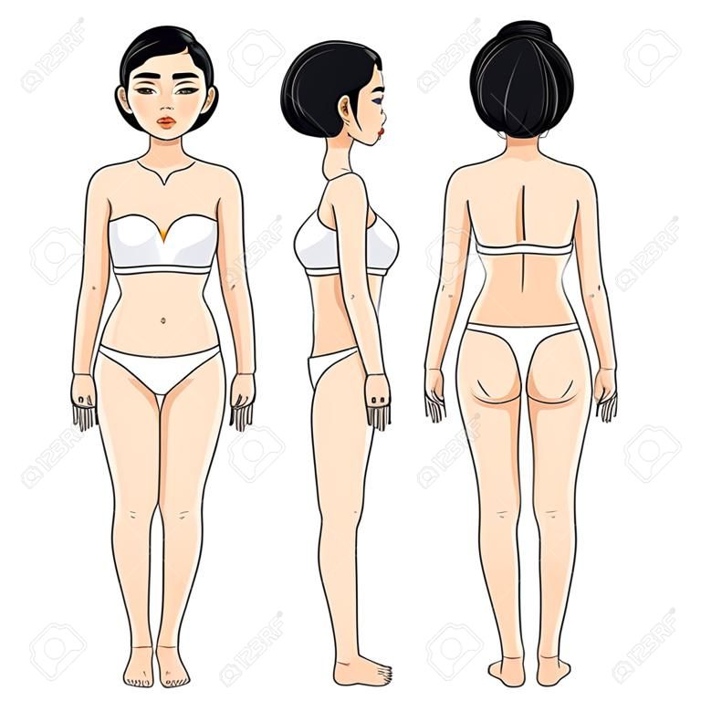 Female body proportions, front and back  Asian girl 