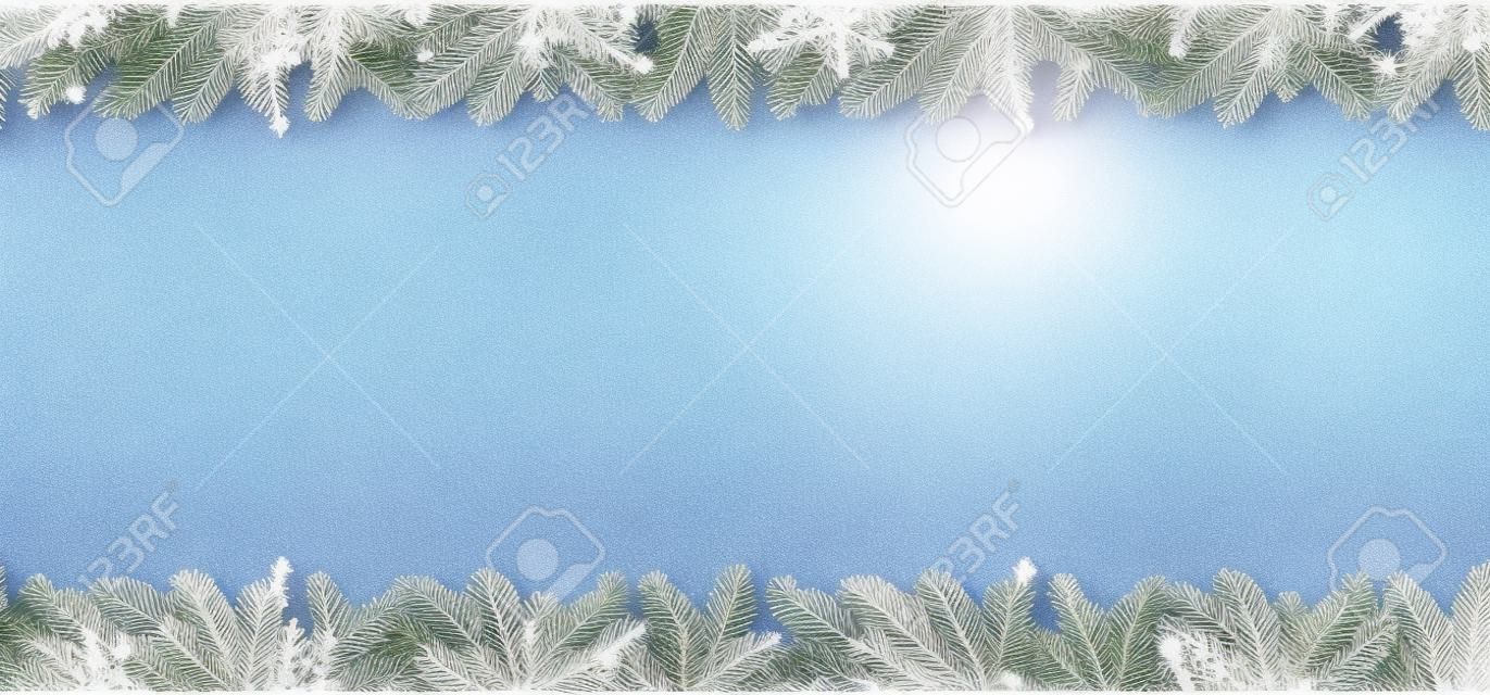 Christmas tree branches on white background as a border or template for christmas card