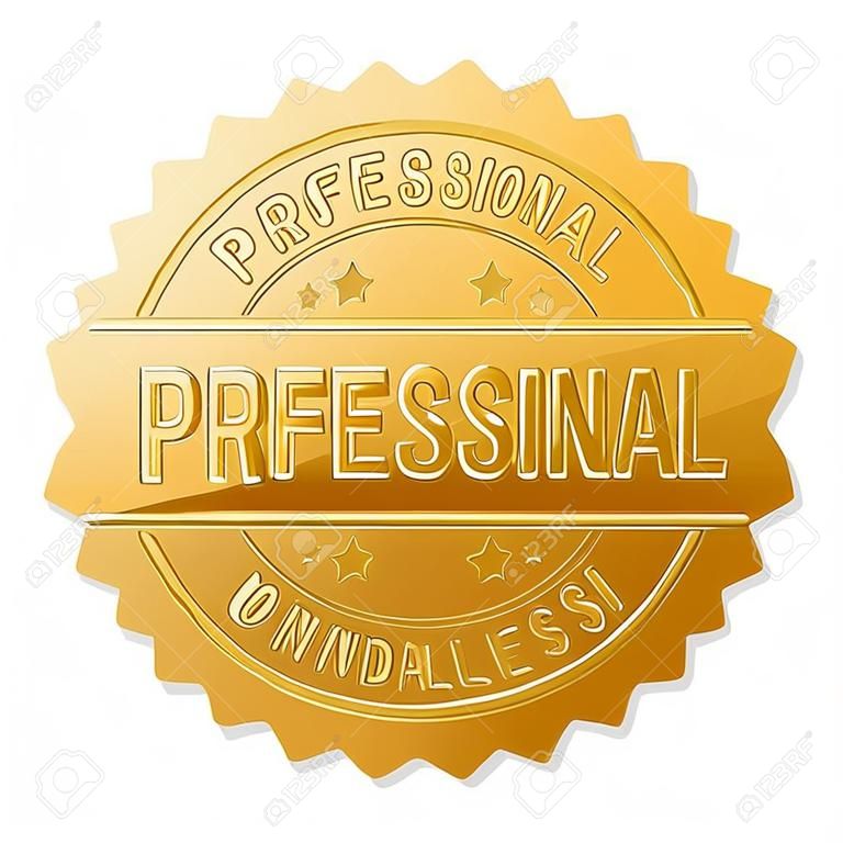 PROFESSIONAL gold stamp medallion. Vector golden medal with PROFESSIONAL text. Text labels are placed between parallel lines and on circle. Golden skin has metallic effect.