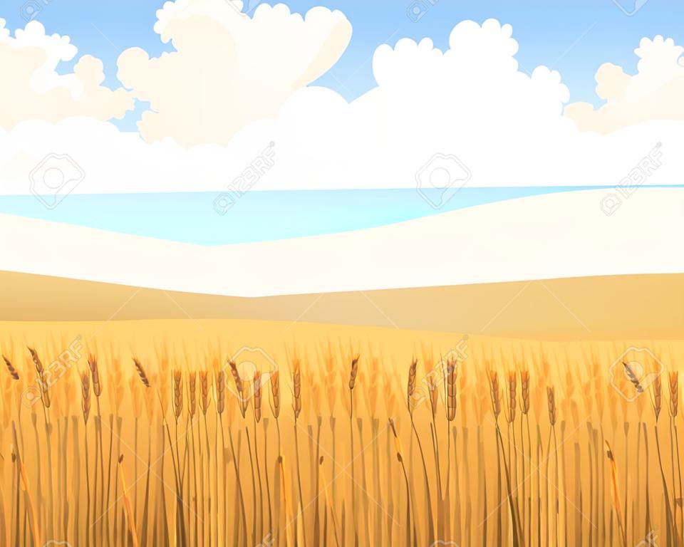 Paesaggio rurale con campo di grano. Illustrazione vettoriale