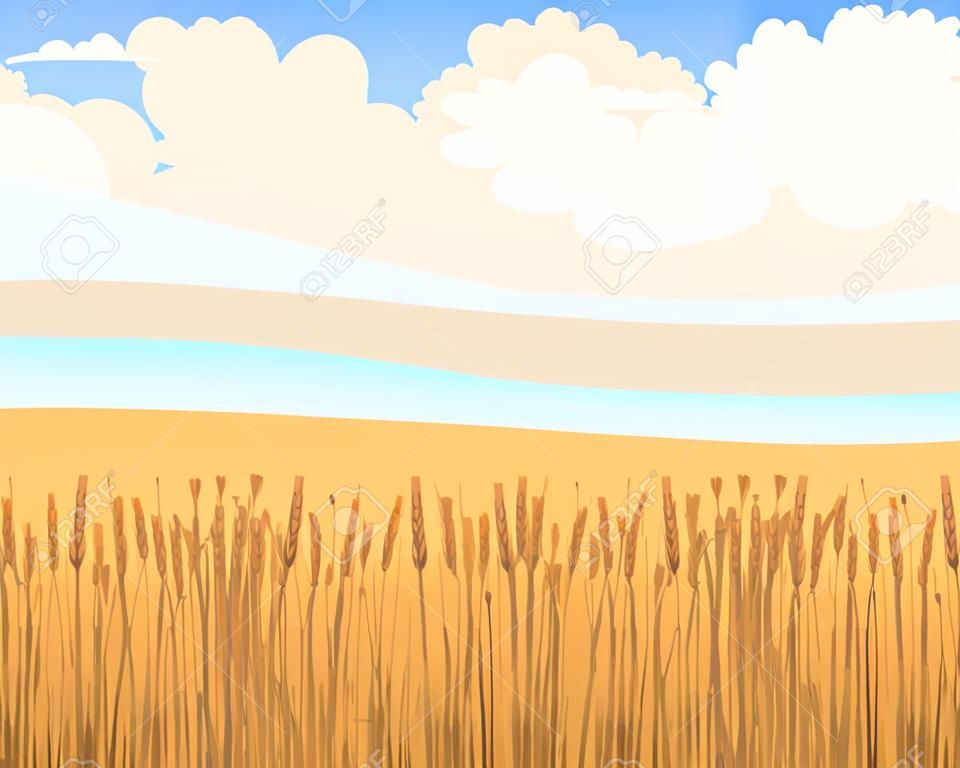 Landelijk landschap met tarweveld. Vector illustratie