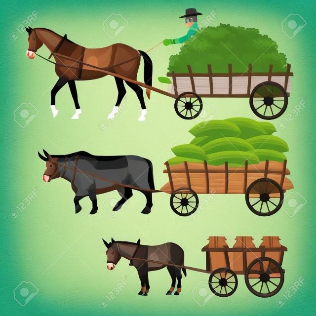 Zestaw pojazdów wektorowych ze zwierzętami pociągowymi: koń, wół i osioł