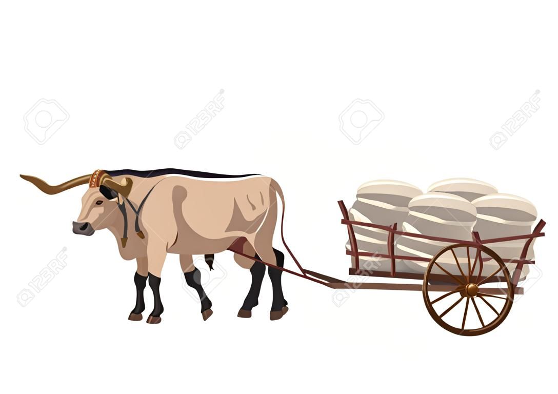 Pair of oxen pull a cart with sacks
