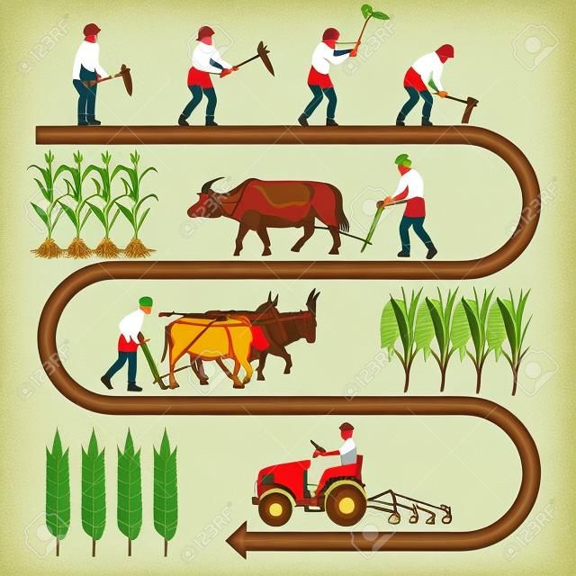 Cronologia histórica da agricultura. Coleção de ilustrações vetoriais para infográficos