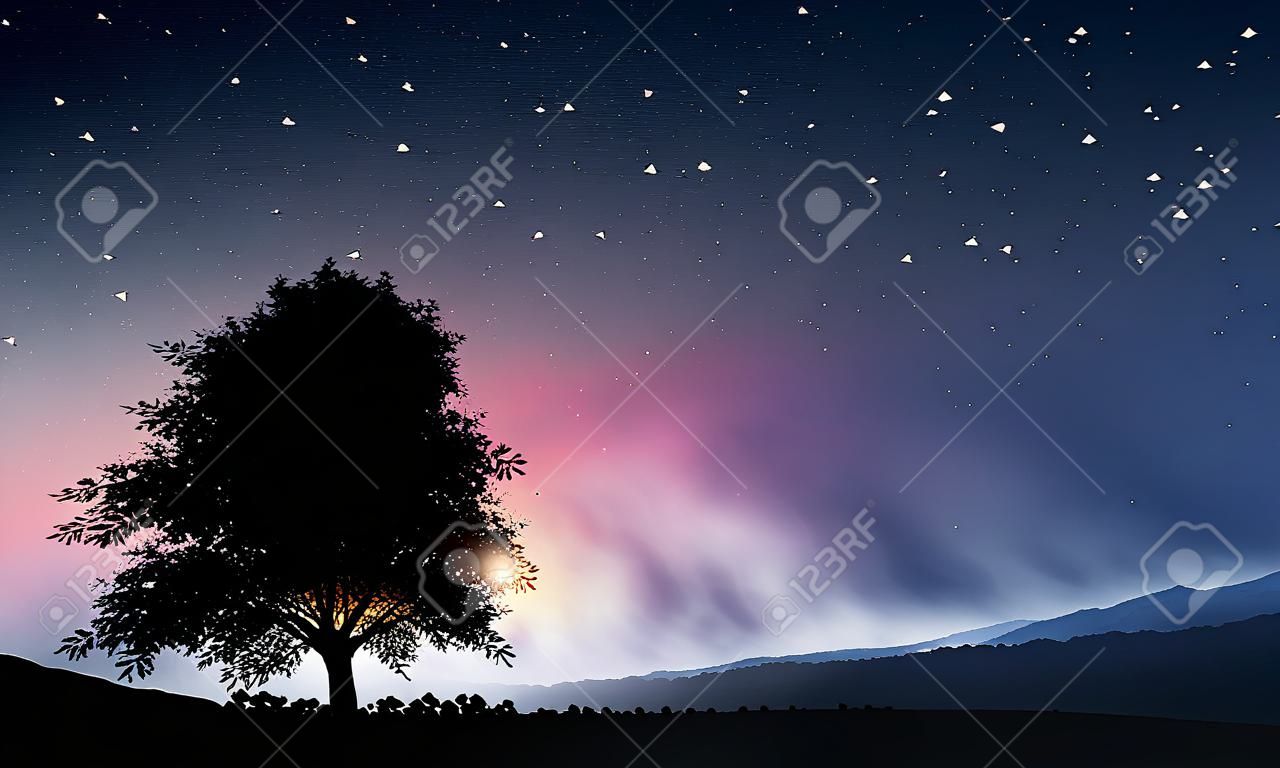 Scena naturale con silhouette di albero contro la luce del tramonto