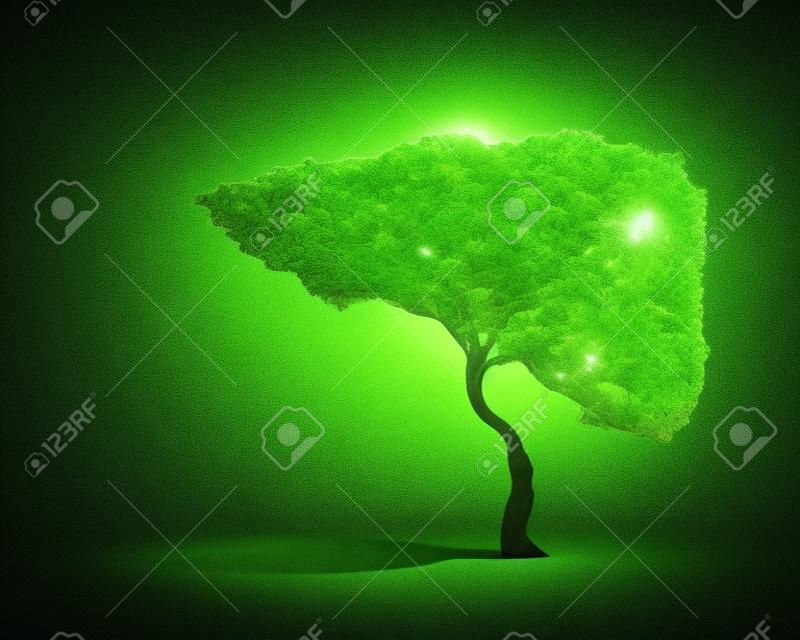 Conceptual image of green tree shaped like human liver