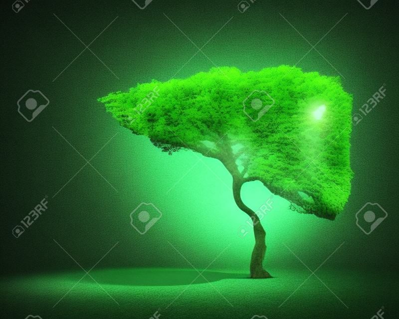인간의 간처럼 모양의 녹색 나무의 개념적 이미지