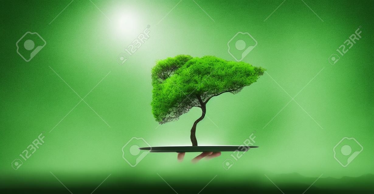 Concepto de medio ambiente con la bandeja del asimiento de la mano con el árbol verde
