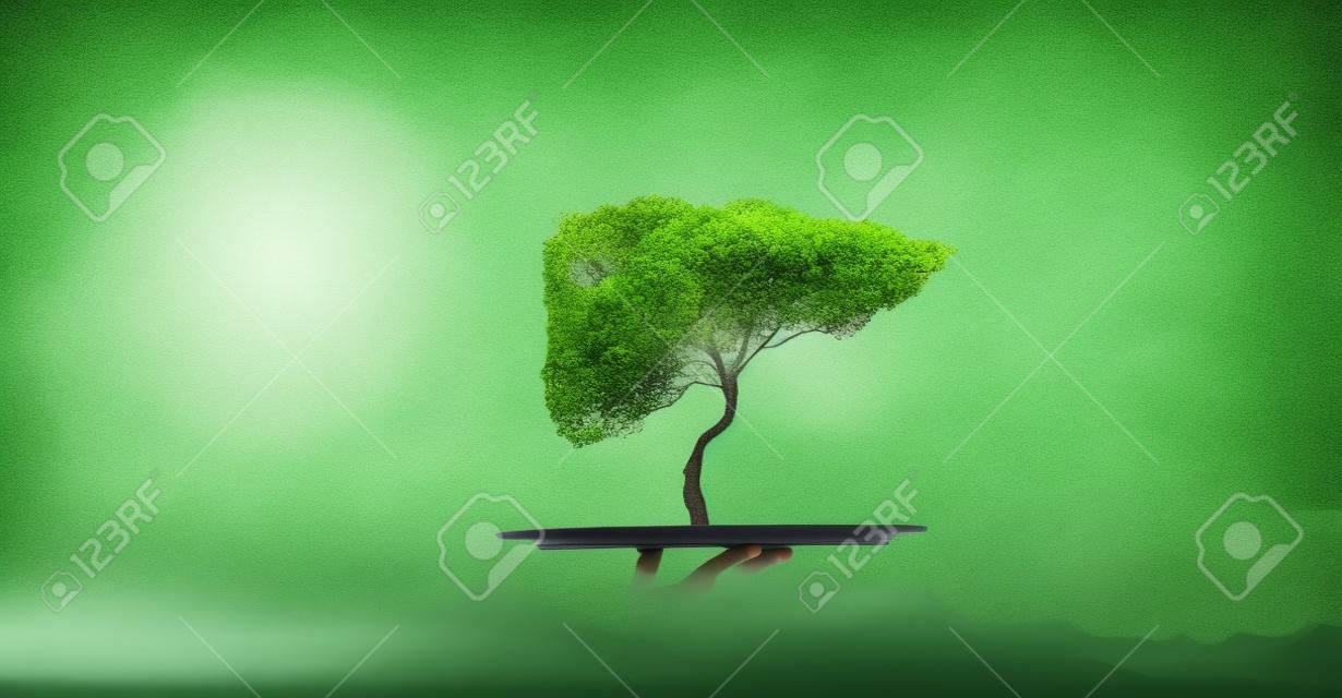 Environmental concept with hand hold tray with green tree