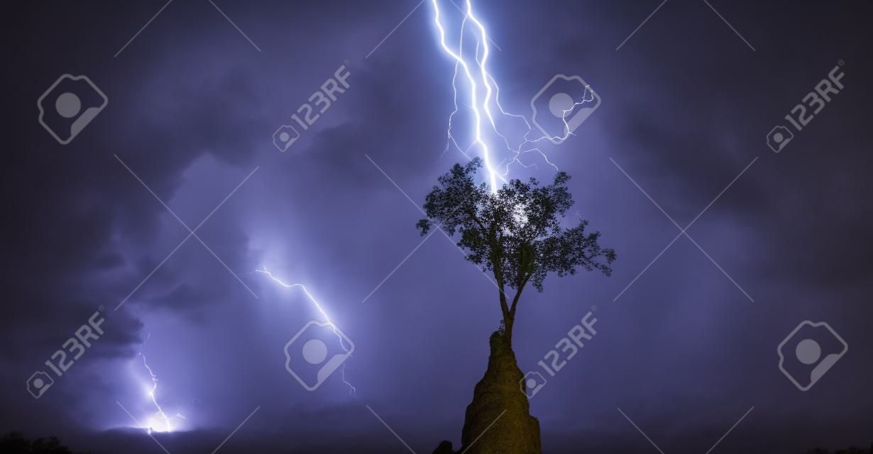 Bright lightning hit the tree