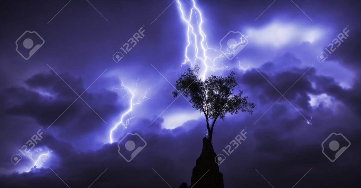 Heller Blitz traf den Baum