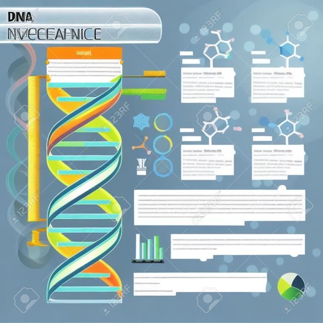 Vector DNA for science infographics, scientific infographics template with text