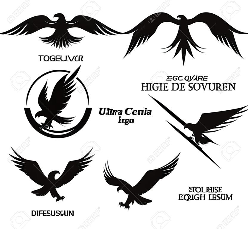 Conjunto de logotipo del águila