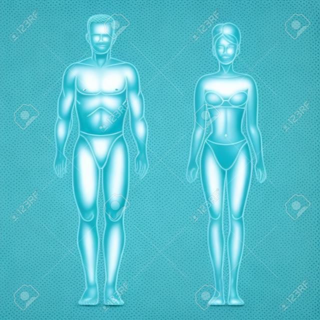 Figuras saudáveis do corpo do homem e da mulher