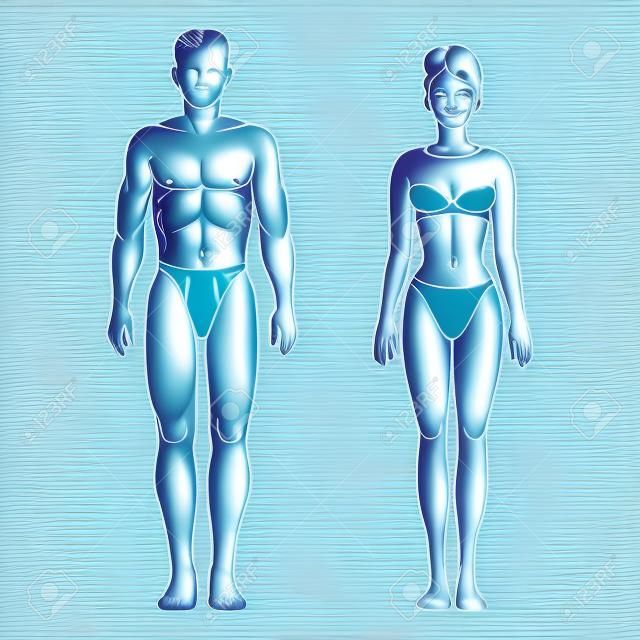 Мужчина и женщина, здоровая цифры тела