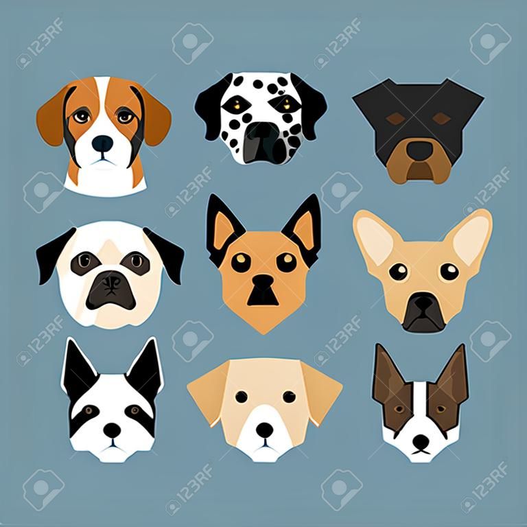 Dogs in flat style. Pet and pedigree, watchdog and dalmatians, shepherd and pug, vector illustration