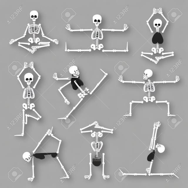 Kung fu and yoga skeletons set. Human pose anatomy, body comic, healthy fitness, vector illustration