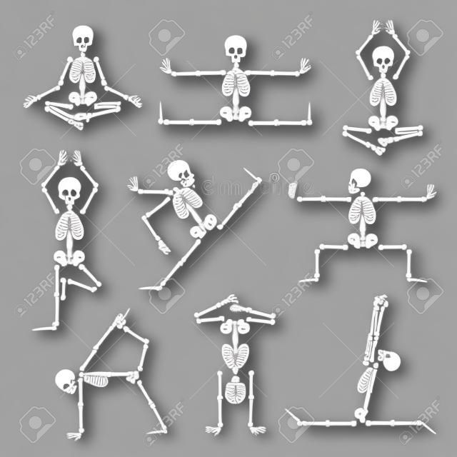 zestaw kung fu i joga szkielety. Anatomia człowieka pozy, komiks ciało, zdrowy fitness, ilustracji wektorowych
