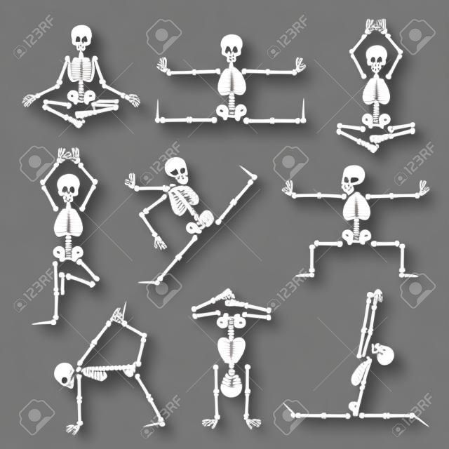 Kung fu and yoga skeletons set. Human pose anatomy, body comic, healthy fitness, vector illustration