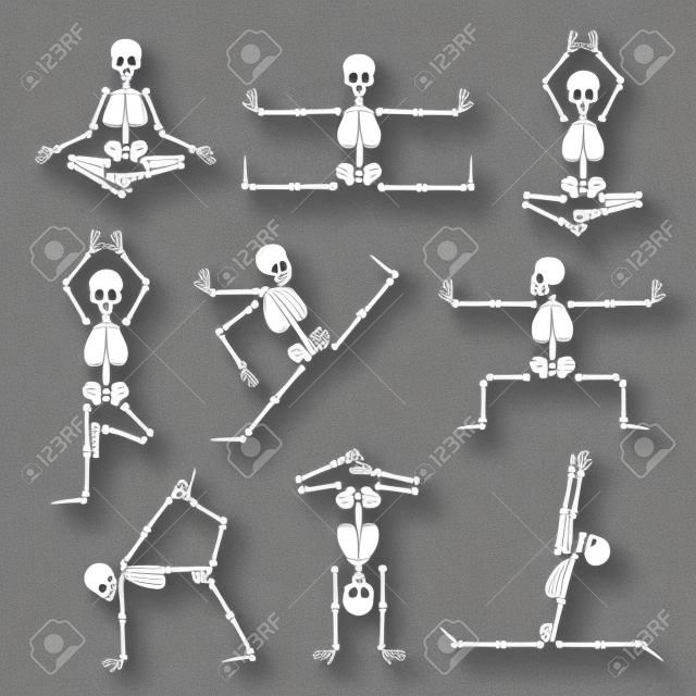 Kungfu en yoga skeletten set. Menselijke pose anatomie, lichaamsstrip, gezonde fitness, vector illustratie