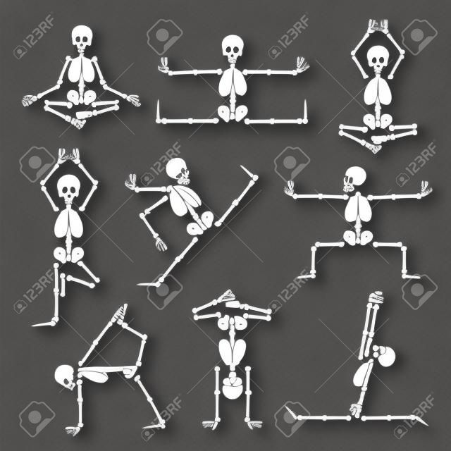 Kung Fu et de yoga squelettes mis. Anatomie humaine de pose, comique du corps, fitness sain, illustration vectorielle