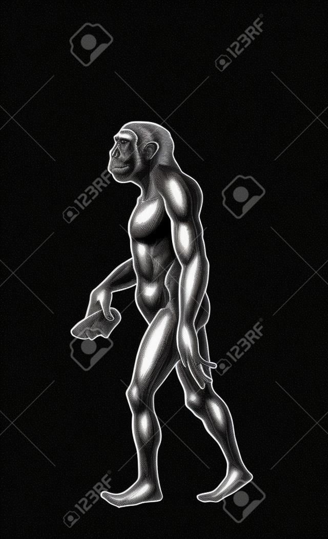 Homo habilis digitale illustratie, geïnkt